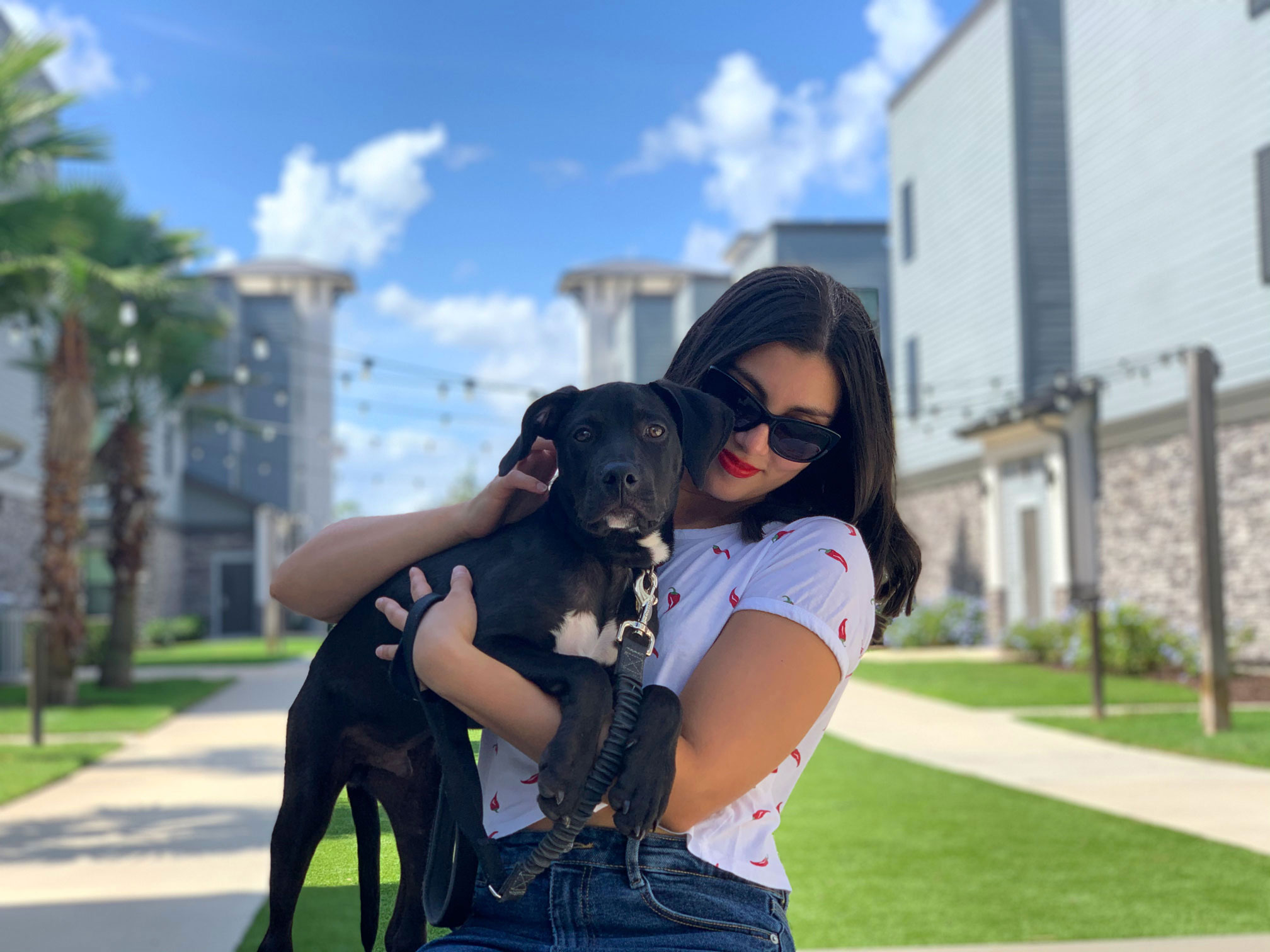 Rada holding a black labrador pitbull mix puppy on a stone chair.